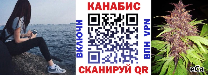 Меф Фрязино